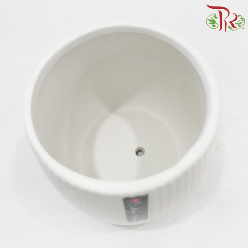 JZ-DW24180-1 Asst Pot