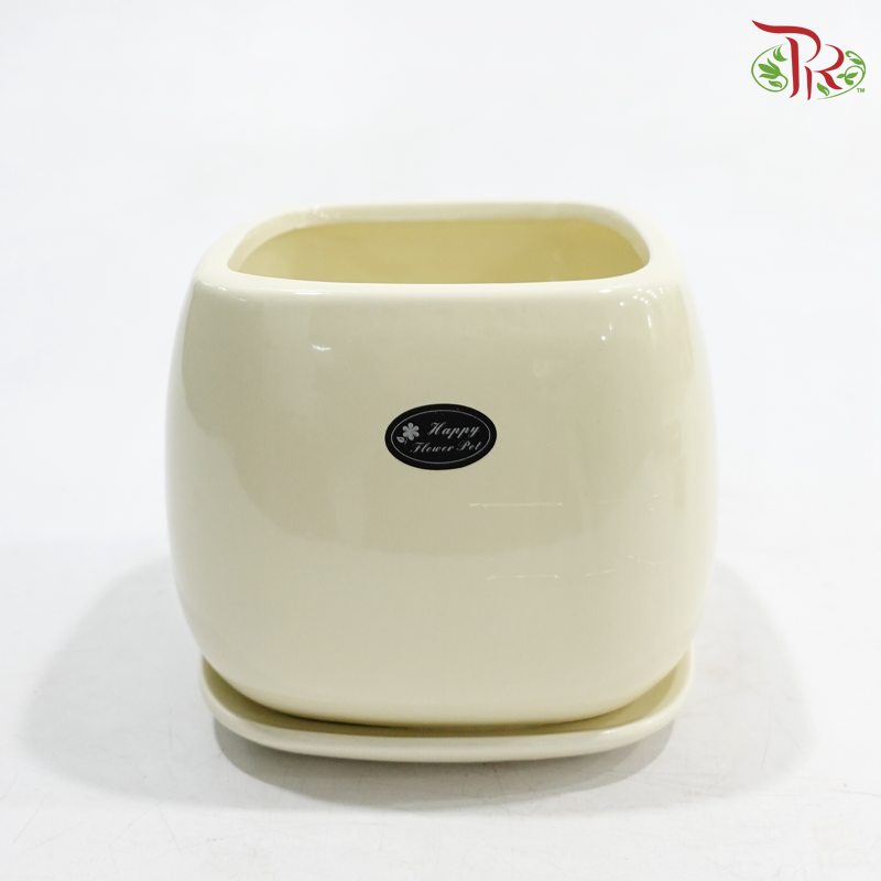 JZ-DW36-0229 Asst Pot