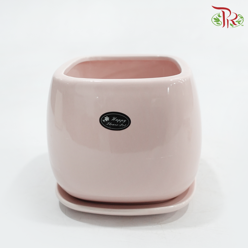 JZ-DW36-0229 Asst Pot