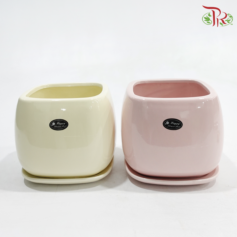 JZ-DW36-0229 Asst Pot