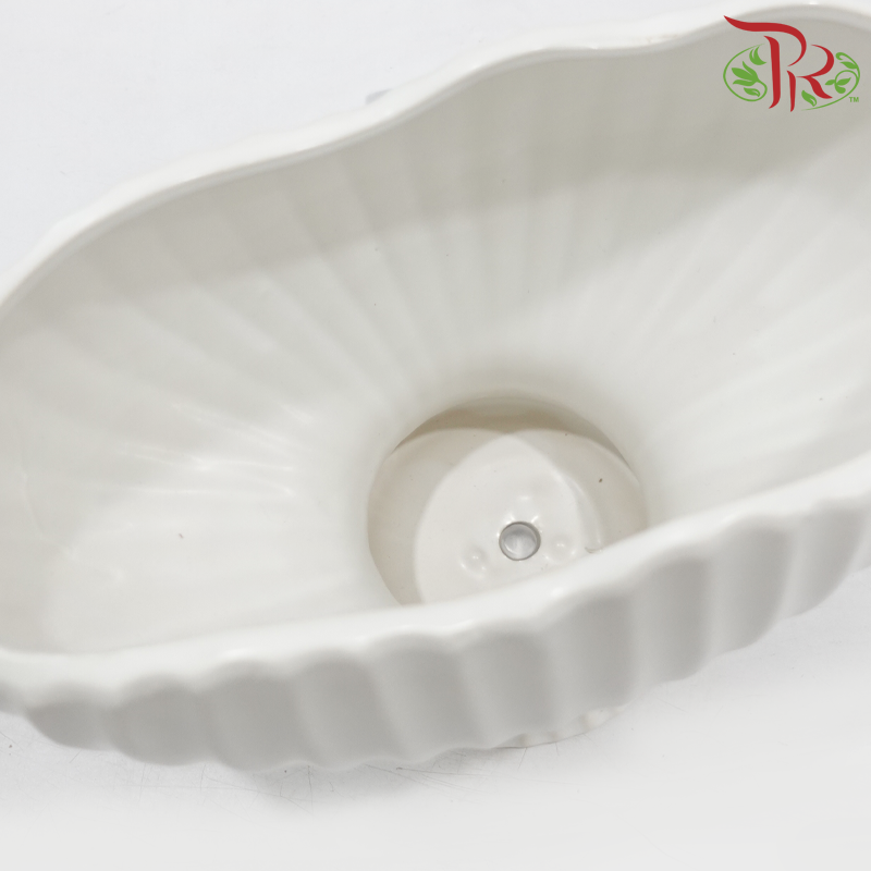 KLY-A-12 Geometric Shell Shaped Ceramic Flower pot (2 sizes)