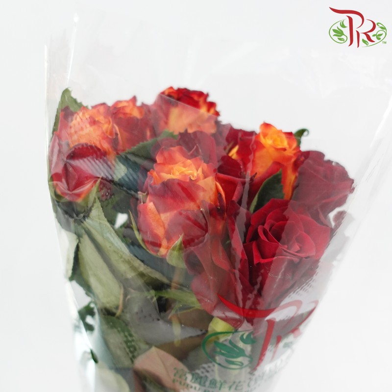 Rose Mixed