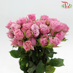 Rose Spray