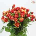 Rose Spray
