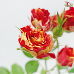 Rose Spray