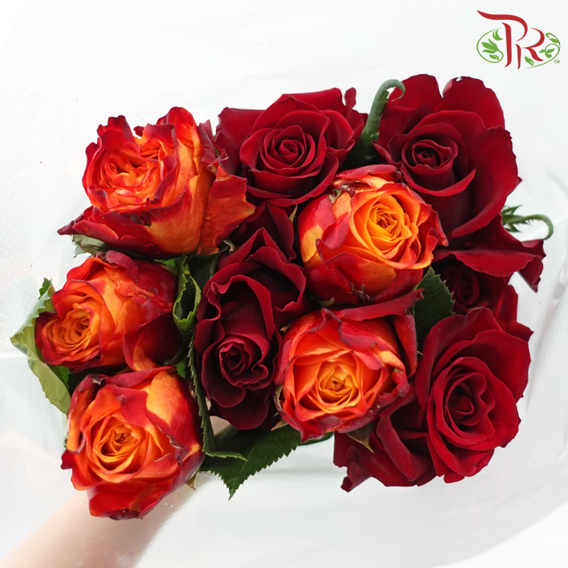 Rose Mixed