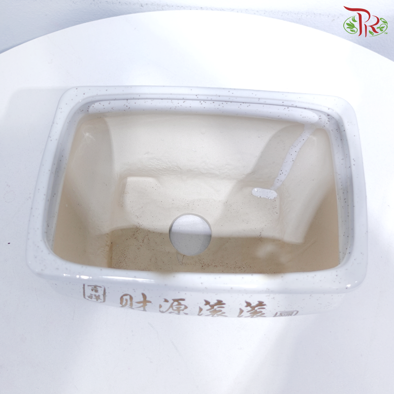 LB15-D-151 - White Pot