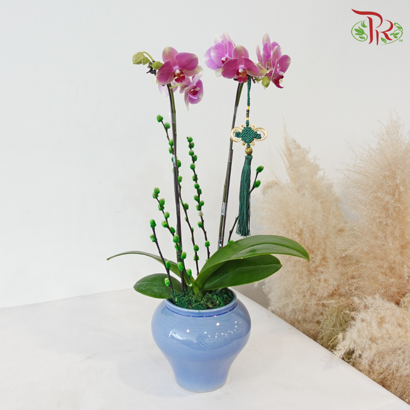 【RAYA 2026】Langit Raya