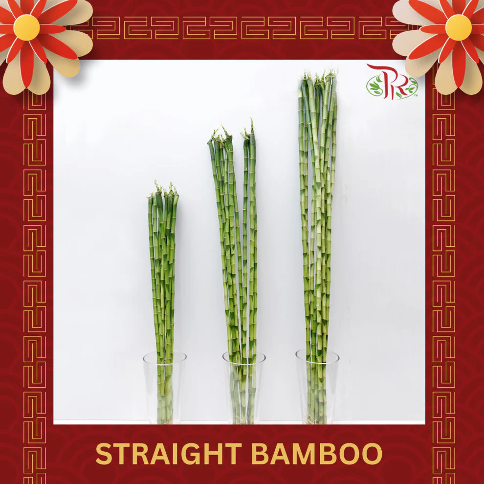 Straight Bamboo 直竹