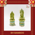 BH Bamboo (M/24cm  or  L/28cm) 佛手