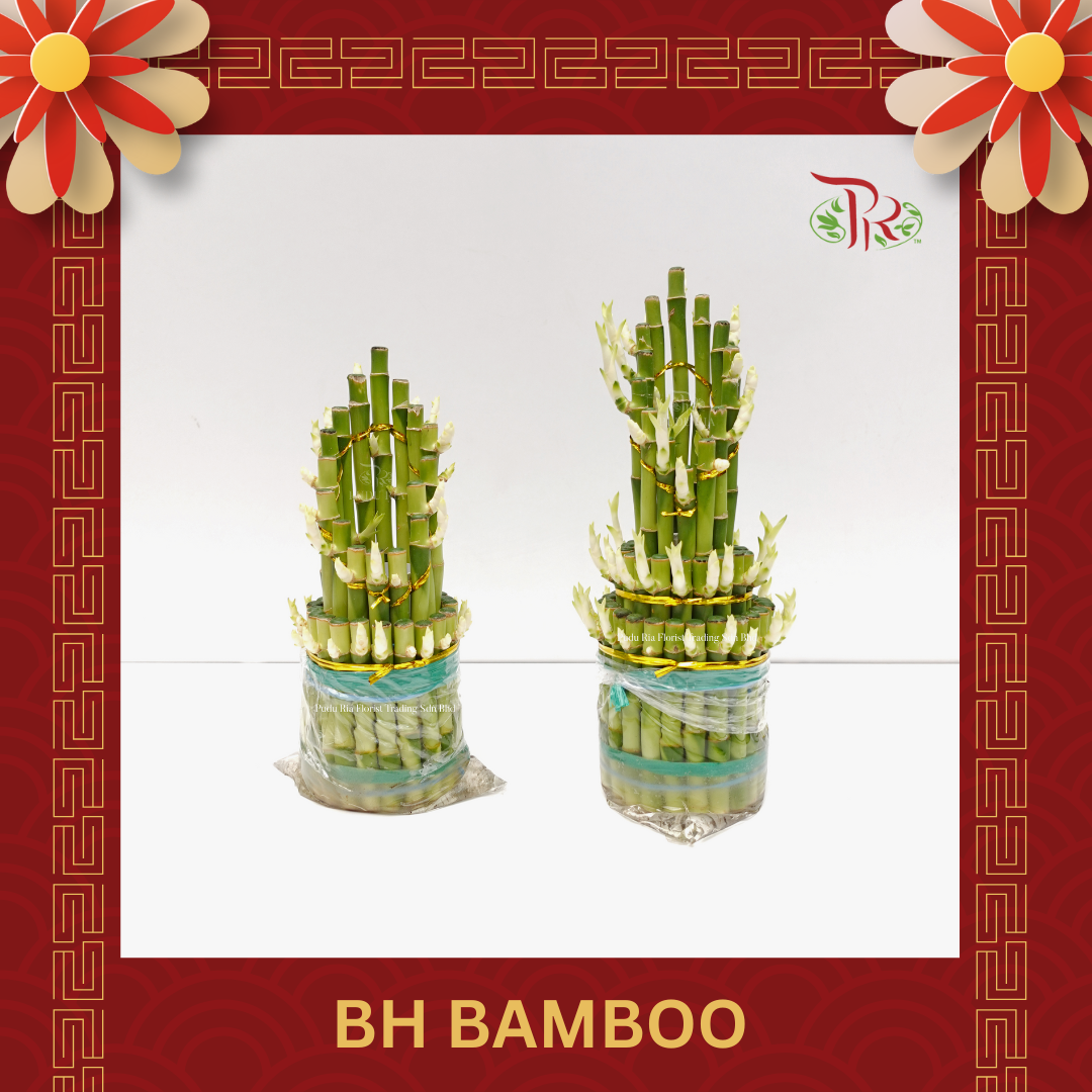 BH Bamboo (M/24cm  or  L/28cm) 佛手