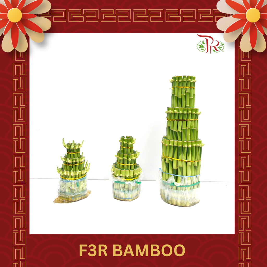 F3R Bamboo ( 17cm/ 20cm/ 40cm) 步步高升