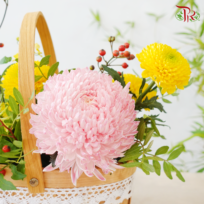 【中秋系列 Mid Autumn Series】Moon in Full, Love All Around《月满人间》