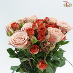 Rose Spray 《多头玫瑰》