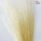 Dry Bleached Muhly Grass