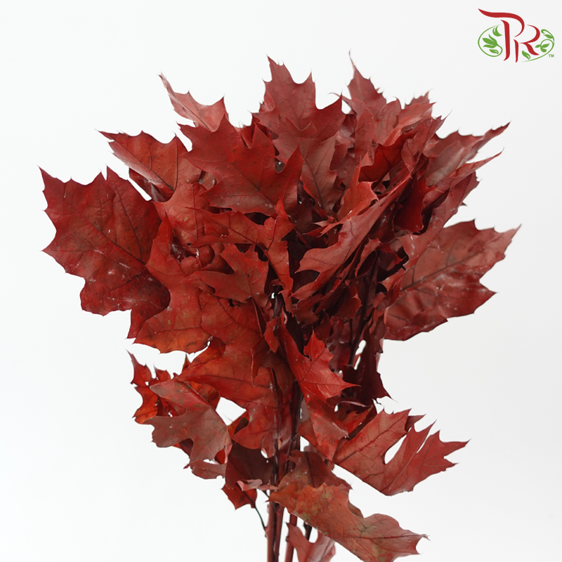 Oak Leaf Dyed
