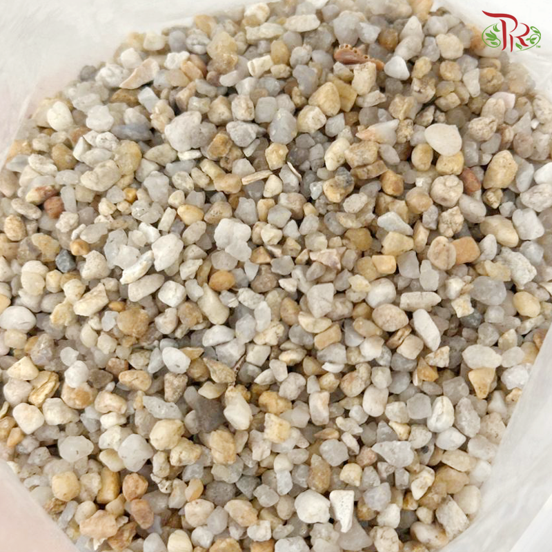 Pearl Sand《珍珠砂》