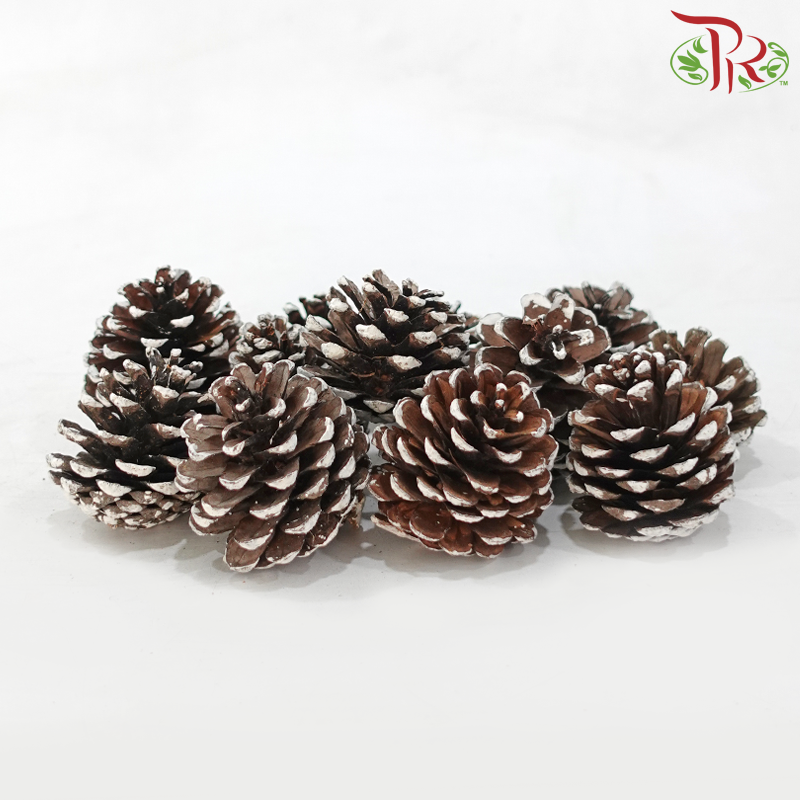 Pine Cone