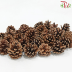 Pine Cone Austria