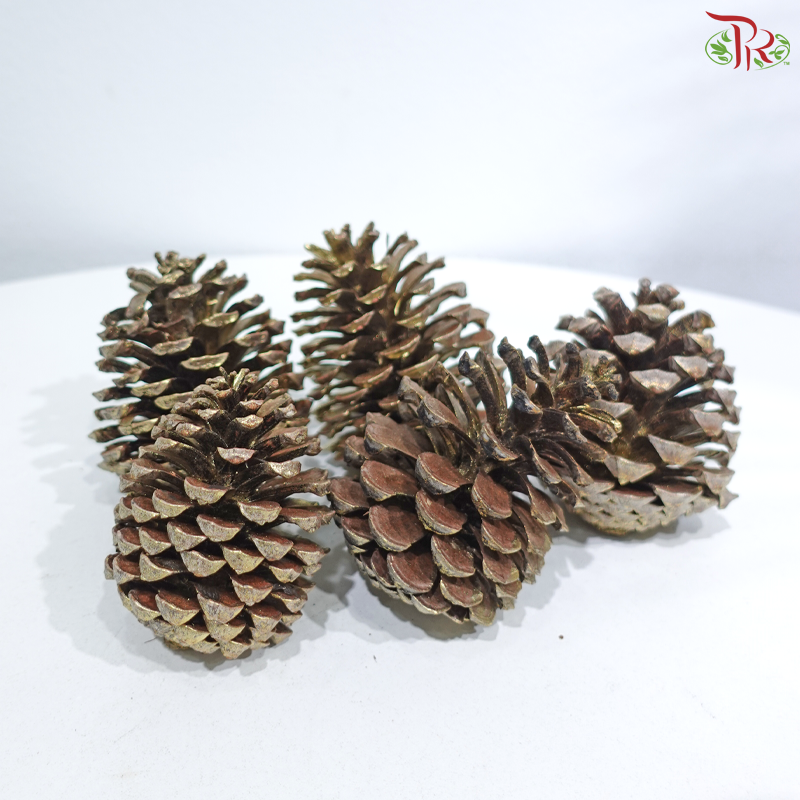 Pine Cone S (6-9cm) - Gold (5 PCS)
