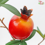 Artificial Pomegranate Spray
