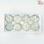 Preserved Carnation