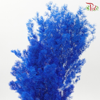 Preserved Asparagus Leaf