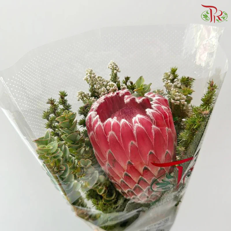 Safari Single Protea Bouquet (Per Bunch) **(Random Choose Fillers)**
