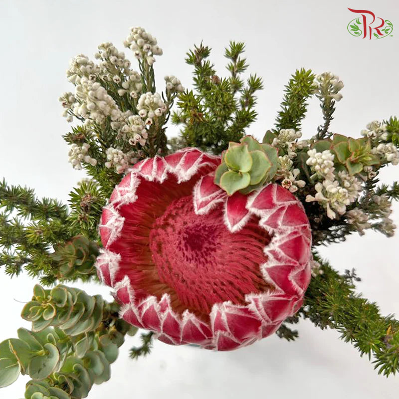 Safari Single Protea Bouquet (Per Bunch) **(Random Choose Fillers)**