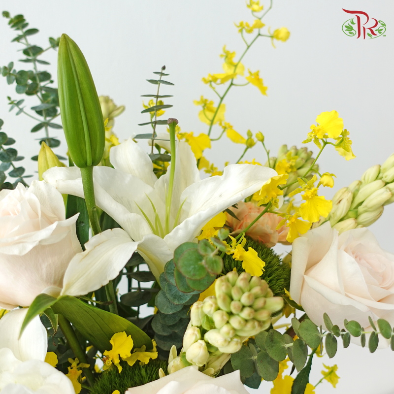 【RAYA 2026】Seri Ceria Aidilfitri (M Size)