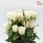 Rose Lovely Porcelain (No Net)