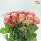 Rose 《玫瑰》