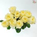 Rose 《玫瑰》