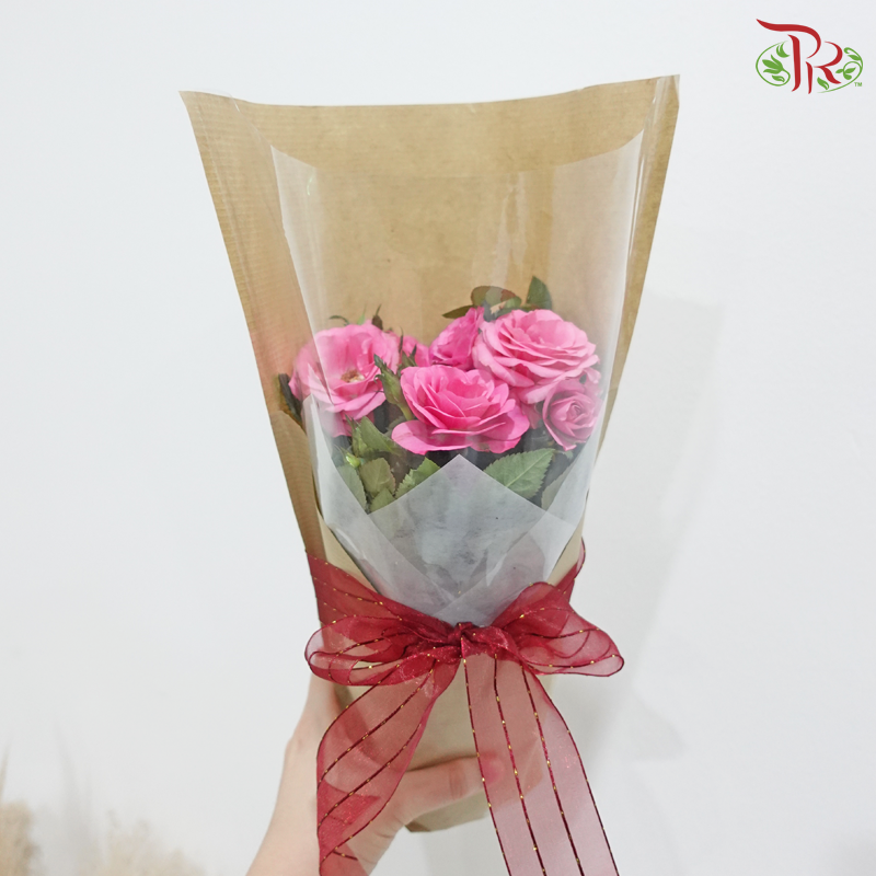 Rose of Mine 《我的玫瑰》(Rose Plant) (Random Plant Color)