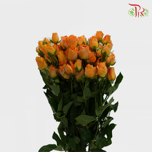 Rose Spray