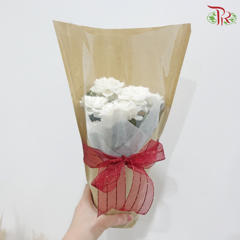 Rose of Mine 《我的玫瑰》(Rose Plant) (Random Plant Color)