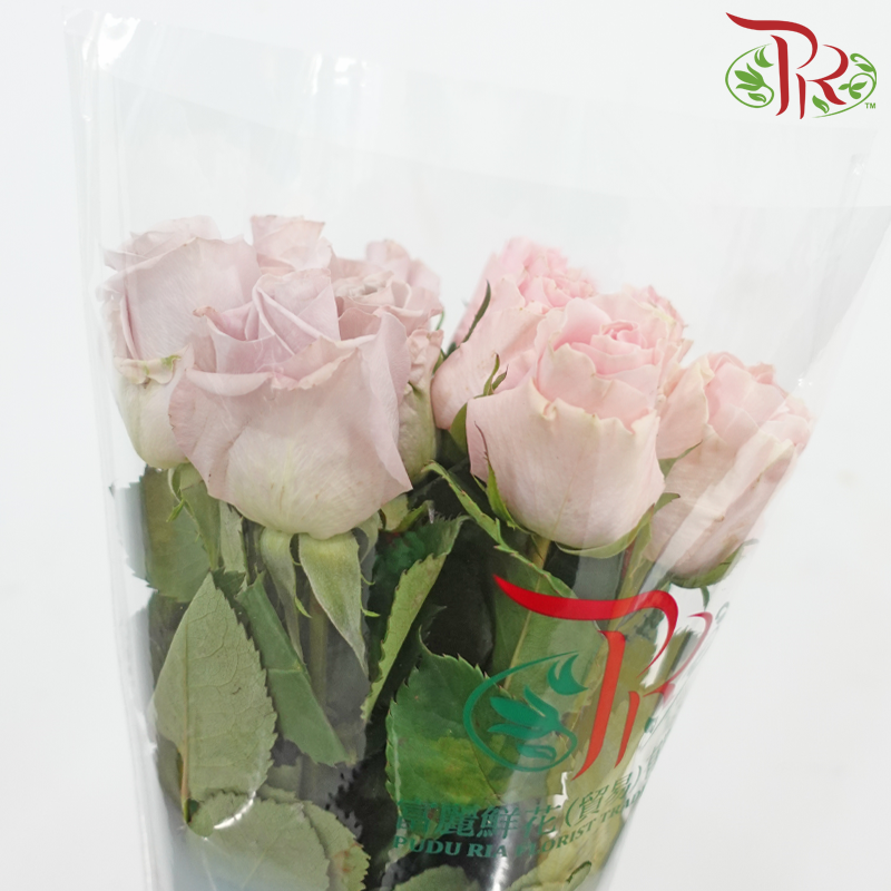 Rose Lavender Dream