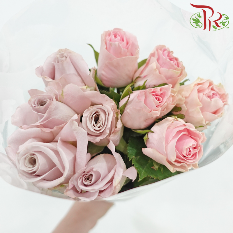 Rose Lavender Dream