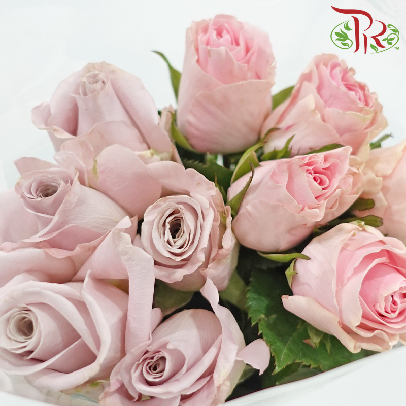 Rose Lavender Dream