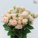 Rose Spray