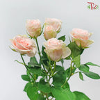 Rose Spray