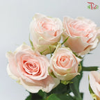 Rose Spray