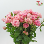 Rose Spray 《多头玫瑰》