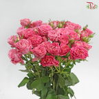 Rose Spray 《多头玫瑰》