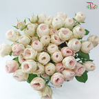 Rose Spray Kupi