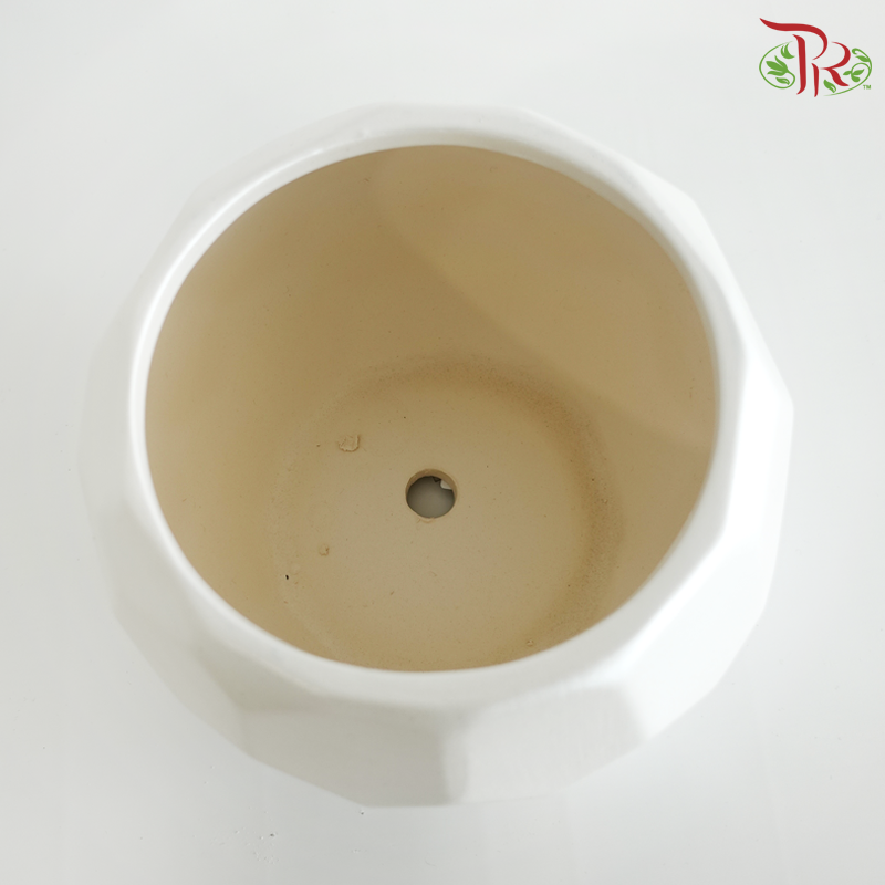 SSJ-24-19 Pearl White Pot