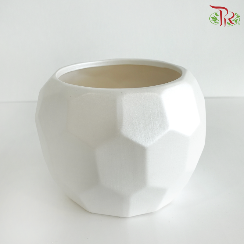 SSJ-24-19 Pearl White Pot
