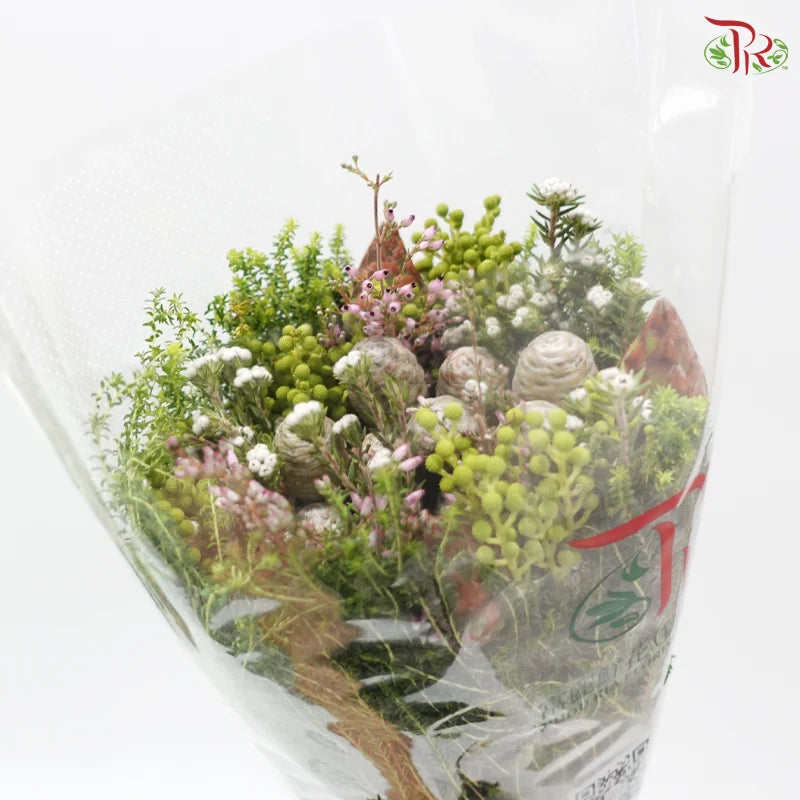 Safari Cape Cone Mix Bouquet **Random Choose Cone/Fillers