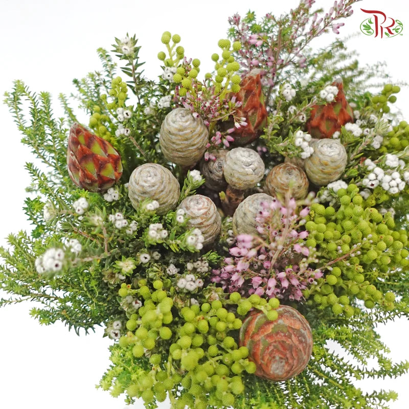 Safari Cape Cone Mix Bouquet **Random Choose Cone/Fillers