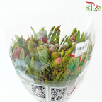 Safari Cape Cone Mix Bouquet **Random Choose Cone/Fillers